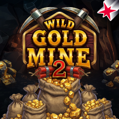 Wild Gold Mine 2