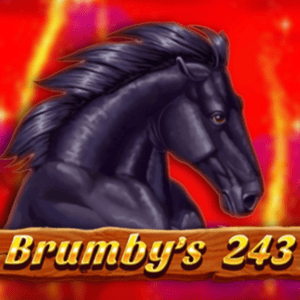 Brumby's 243