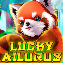 Lucky Ailurus