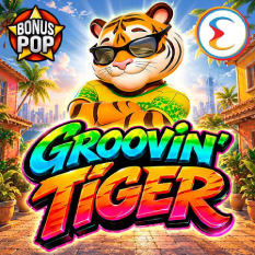 Groovin Tiger