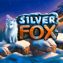 Silver Fox