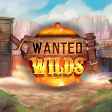 Wanted WILDS
