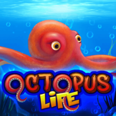 Octopus Life