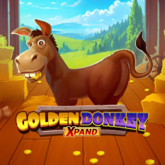 Golden Donkey Xpand