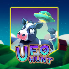 UFO Hunt