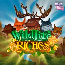 Wildlife Riches