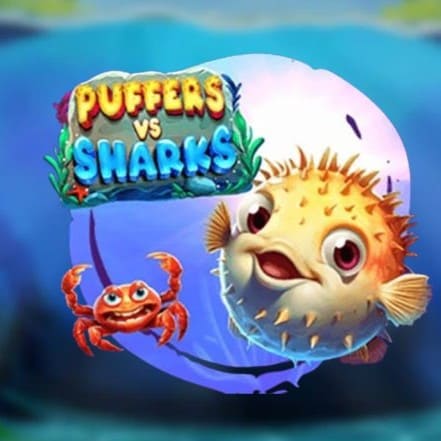 Puffers vs Sharks