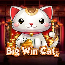 Big Win Cat