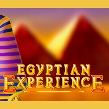 Egyptian Experience