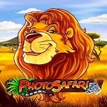 Photo Safari