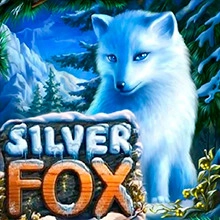 Silver Fox