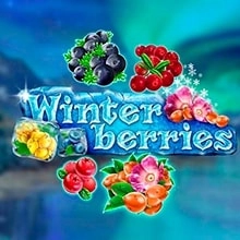 Winter Berries