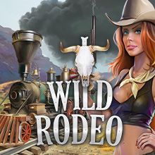 Wild Rodeo