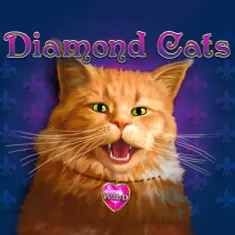 Diamond Cats
