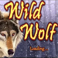 Wolf Run